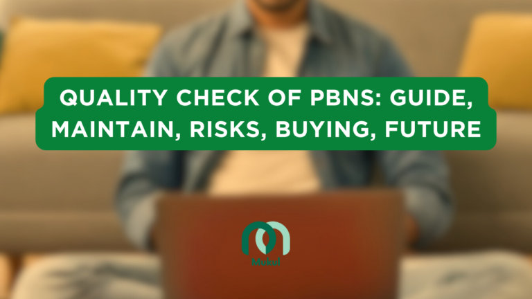 Quality Check of PBNs: Guide, Maintain, Risks, Buying, Future