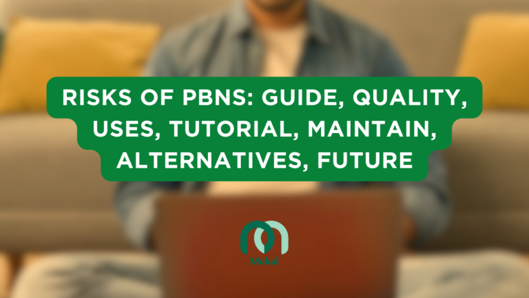 Risks of PBNs: Guide, Quality, Uses, Tutorial, Maintain, Alternatives, Future