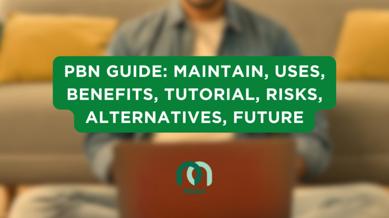 PBN Guide: Maintain, Uses, Benefits, Tutorial, Risks, Alternatives, Future
